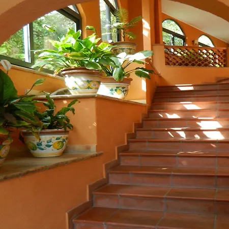 Andromaco Palace 3*