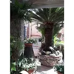 Andromaco Palace 호텔 3*
