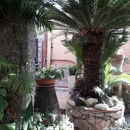 Andromaco Palace Hotel 3*