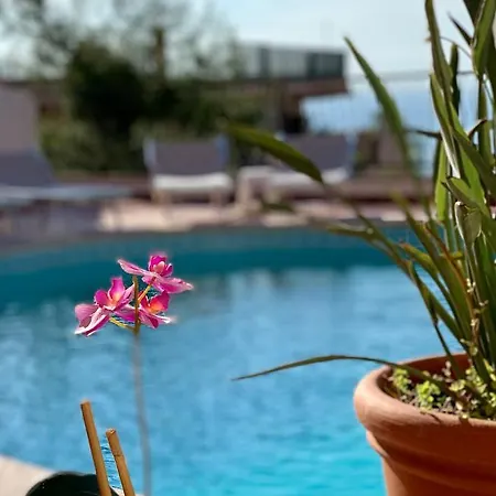 Andromaco Palace 호텔 3*